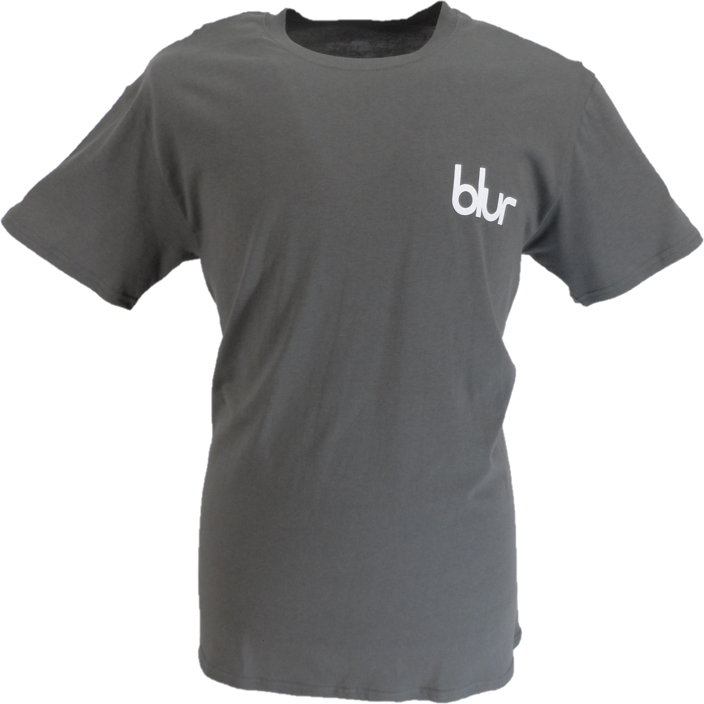 Mens Grey Official Blur Parklife Back Print T Shirt